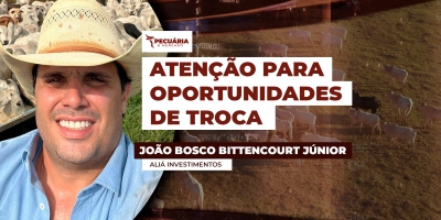 Especialista orienta para dois momentos do ano que podem ser favoráveis para quem precisa recompor o rebanho