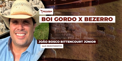 Apesar de preços recordes, relação de troca Bezerro X Boi Gordo ainda é favorável