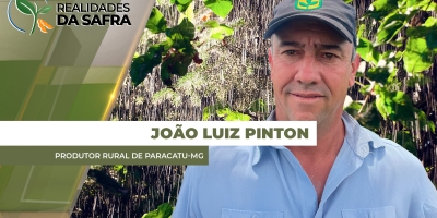 Colheita da soja avança com boa produtividade em Paracatu/MG, mas chuva atrasa trabalhos