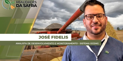 Com destaque para o café, grande parte do agro mineiro passa pelo sistema de cooperativas