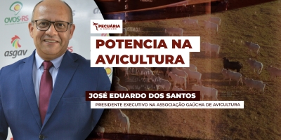 Região Sul segue no centro da avicultura brasileira