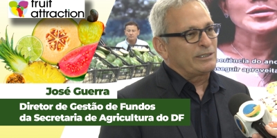 Atualmente voltada apenas para Brasília, produção de frutas do DF mira mercados internacionais
