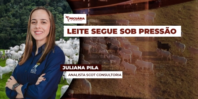 Julho também pode fechar com queda no preço do leite pago ao produtor