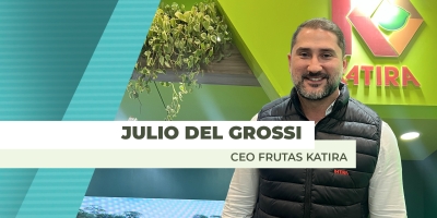 Produtor de limão se prepara para iniciar exportações em 2026