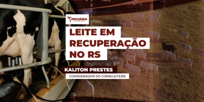 Conseleite do RS projeta alta de 10% no valor de referência para Abril com litro a R$2,53