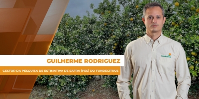 Taxa de queda da  safra/25 de laranja em SP e MG é a maior ao longo de 12 anos