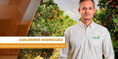 Fundecitrus estima que safra de laranja 26/27 será menor que a do ano passado