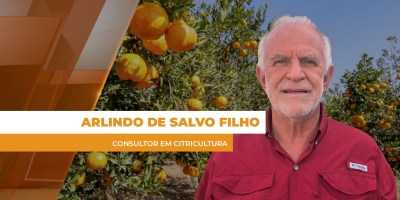 Clima seco limita produtividade dos pomares citrícolas no Brasil