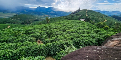 Exportações do agro mineiro somam US$ 3,93 bilhões no 1º trimestre do ano