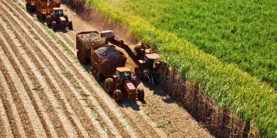 Aumento dos preços internacionais dos fertilizantes e diminuição da produtividade deixam gestão dos produtores de cana no limite da sustentabilidade