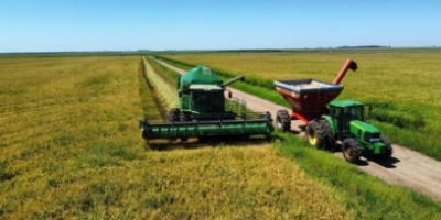Preparo antecipado do solo ganha peso na safra de arroz 2026/27 sob El Niño