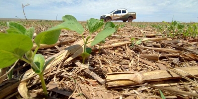 Mato Grosso do Sul já plantou 2,5 milhões de hectares de soja