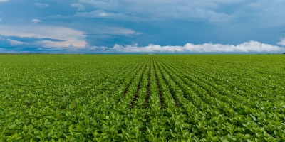 SLC Agrícola buscará mitigar riscos na safra 2026/27 com El Niño e custos altos de adubo