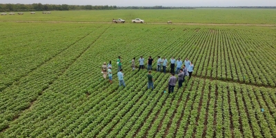 Sumitomo Chemical expande Expedição de Produtividade e já alcança mais de 5 milhões de hectares visitados no BR