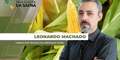 ENTREVISTA REALIDADES SA SAFRA COM - Leonardo Machado Consultor Técnico da Aprosoja Goiás