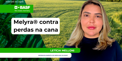 Isoporização causa até 40% de perdas na cana-de-açúcar, e Melyra® surge como aliado estratégico no manejo