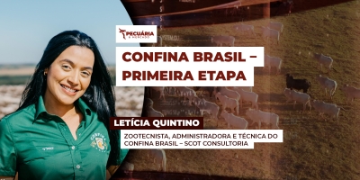Avanço das tecnologias nos confinamentos e uso estratégico de coprodutos na dieta são destaques do confinamento em 2025