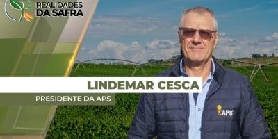 Regiões do Paraguai tem 17 dias sem chuvas e já há perda de produtividade na soja