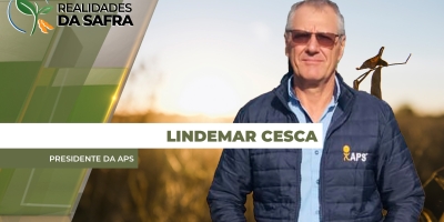 Colheita da soja avança no Paraguai com produtividades muito distintas