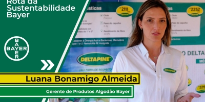Bayer estuda particularidades da região de Catuti/MG e transforma produção de algodão