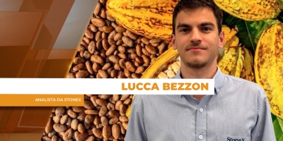 Recebimento de cacau cresce em 2026 no Brasil, mas moagem segue pressionada por volatilidade