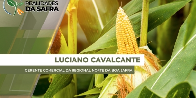 ENTREVISTA REALIDADES DA SAFRA - Luciano Cavalcante Gerente Comercial da Regional Norte da Boa Safra