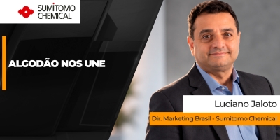 “Algodão nos Une”:  Sumitomo amplia estratégia e quer ir além da oferta de insumos ao produtor