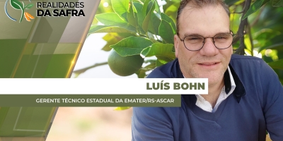 Rio Grande do Sul espera boas produtividades na citricultura em 2026