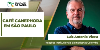 Projeto busca ampliar a produção do café canephora no estado de São Paulo