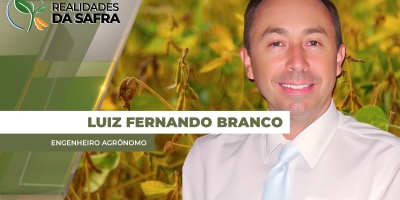 Passo Fundo/RS começa colheita da soja com menos produtividade e dificuldade para receber diesel