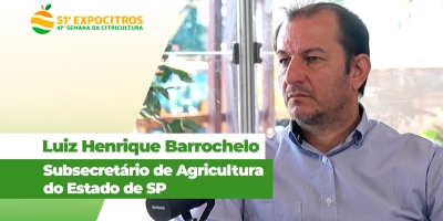 Com investimento de mais de R$ 3 milhões, Governo de SP intensifica combate ao greening