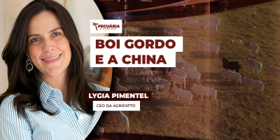 Fim das cotas de exportação e casos de aftosa na China  são fatores de incertezas para preços da arroba