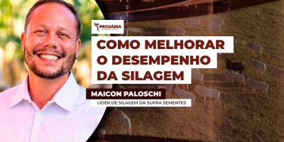Silagem eficiente melhora rentabilidade das propriedades rurais