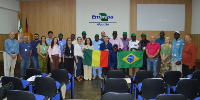 Comitiva do Mali conhece experiência brasileira na produção de algodão