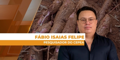 Produção brasileira de mandioca deve crescer 6,1%, superando 20 milhões de toneladas