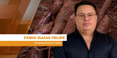 Clima limita colheita da mandioca no sul do país e oferta restrita estimula preços