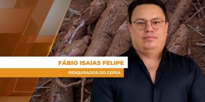 Produção acumulada de mandioca destinada à indústria nos estados do Paraná, MS e SP cresceu 10,3% em 2025