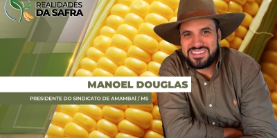 Amambai/MS já colheu 80% da soja com produtividades dentro da média esperada