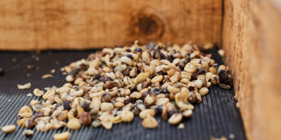 Mapa alerta para café torrado com irregularidades