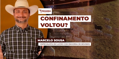 Confinamento reacende interesse dos pecuaristas neste ano?