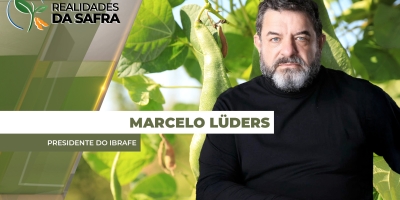 Dia do Feijão: produção o ano todo e renda no campo