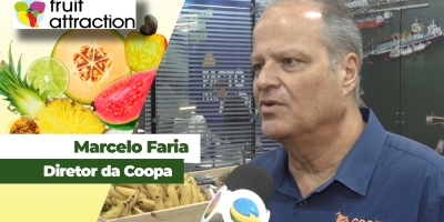 Produtores de uva de Petrolina/PE comemoram assinatura do acordo Mercosul-União Europeia