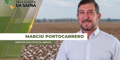 Safra 25/26 de algodão deve ter produção reduzida e setor acende alerta para o controle de pragas e doenças