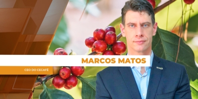 Exportações recuam e mercado tenta entender o novo ritmo do café brasileiro