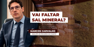 Escassez de insumo estratégico coloca pecuária em alerta