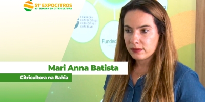 Nordeste é um dos novos polos de desenvolvimento da citricultura e potencial é crescente