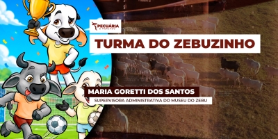 Em tempo de Copa do Mundo, porque não escalar a seleção zebuína brasileira