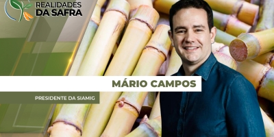 Minas Gerais começa safra 2026/27 esperando produção de cana-de-açúcar 11,6% maior