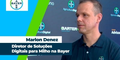 Ajuste no plantio do milho pode elevar em até 5 sc/ha a produtividade final