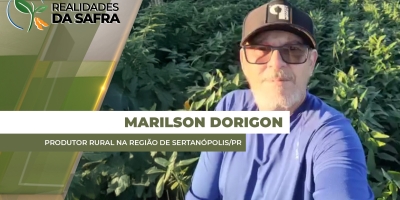 Colheita da soja começa com atraso em Sertanópolis/PR